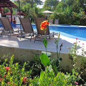 Double Room Garden View