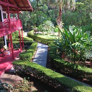 Suite Garden View